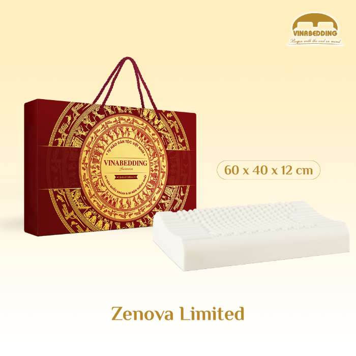 VIETNAMESE HERITAGE PILLOW – SPECIAL EDITION  (VIETNAMESE BRONZE DRUM) 